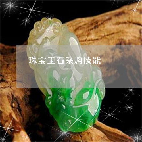 珠宝玉石采购技能全解析 从入门到精通的实战指南